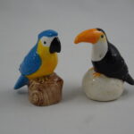 Parrot & Toucan