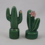 Cactus shakers